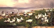 Geese - Alfred Schonian