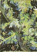 Blossoming Acacia Branches - Vincent Van Gogh