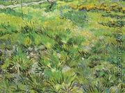 Meadow In The Garden Of Saint Paul Hospital - Vincent Van Gogh