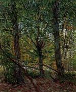 Trees And Undergrowth - Vincent Van Gogh
