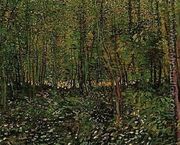Trees And Undergrowth II - Vincent Van Gogh