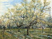 The White Orchard - Vincent Van Gogh