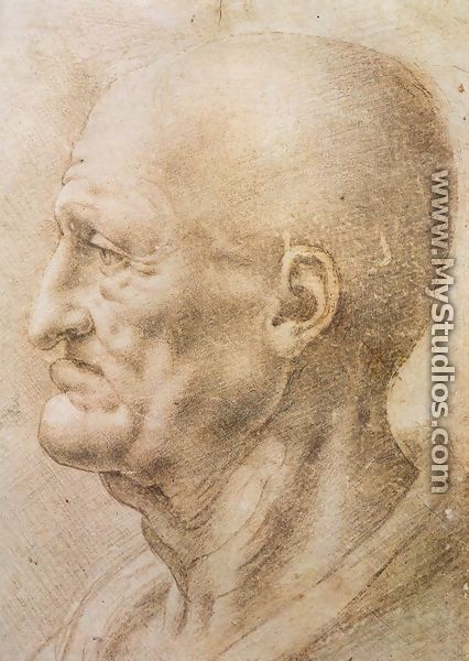 Profile Of An Old Man - Leonardo Da Vinci