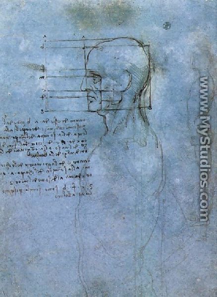 Study Of Proportion - Leonardo Da Vinci