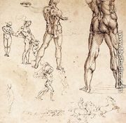 Anatomical Studies - Leonardo Da Vinci