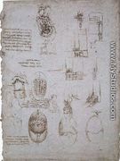 Studies Of The Villa Melzi And Anatomical Study - Leonardo Da Vinci