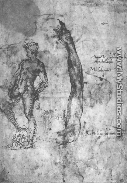 Study For An Arm Of The Marble David And The Figure Of The Bronze David - Michelangelo Buonarroti