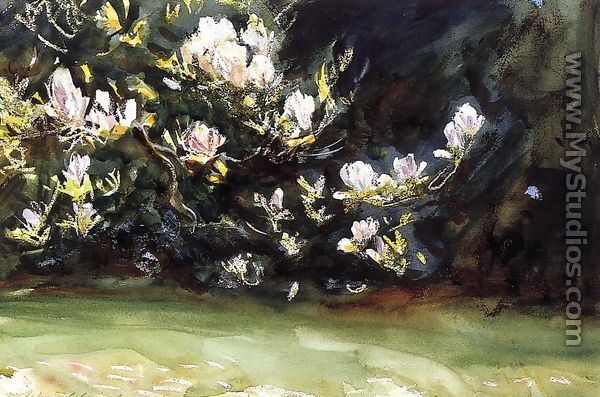 Magnolias - John Singer Sargent