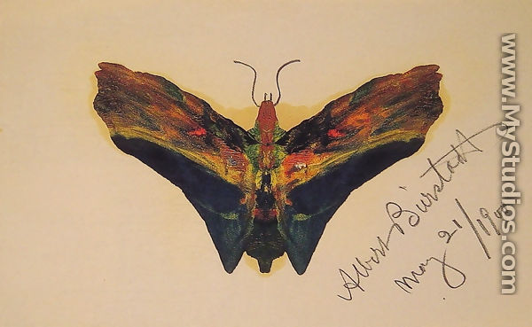 Butterfly (second Version) - Albert Bierstadt