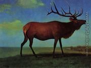 Elk - Albert Bierstadt