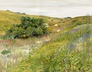 Landscape  Shinnecock Hills - William Merritt Chase