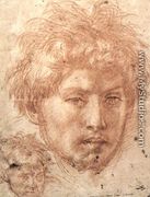 Head Of A Young Man - Andrea Del Sarto