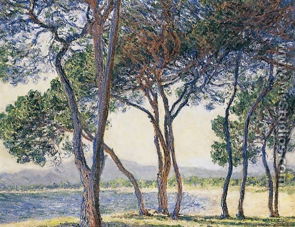Trees By The Seashore At Antibes - Claude Oscar Monet