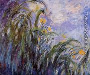 Yellow Irises3 - Claude Oscar Monet