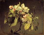 A Branch Of Apple Blossoms And Buds - Martin Johnson Heade