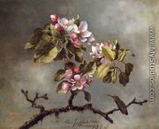 Apple Blossoms And Hummingbird2 - Martin Johnson Heade