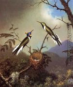 Hummingbirds At Their Nest   Sun Gems - Martin Johnson Heade