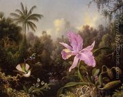Orchid And Two Hummingburds - Martin Johnson Heade