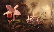 Orchids And A Beetle - Martin Johnson Heade