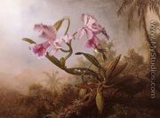 Orchids And Hummingbird2 - Martin Johnson Heade
