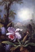 Orchids  Passion Flowers And Hummingbird - Martin Johnson Heade