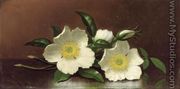 Two Cherokee Rose Blossoms On A Table Aka Cherokee Roses - Martin Johnson Heade