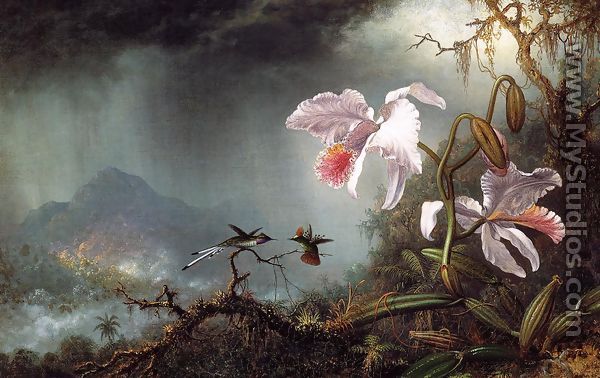Two Fighting Hummingbirds With Two Orchids - Martin Johnson Heade