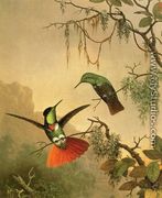 Two Hooded Visorbearer Hummingbirds - Martin Johnson Heade
