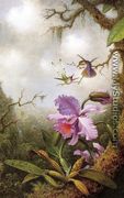 Two Hummingbirds And A PinkOrchid - Martin Johnson Heade