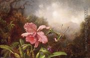 Two Hummingbirds By An Orchid - Martin Johnson Heade