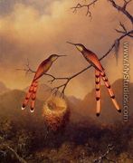 Two Hummingbirds With Their Young - Martin Johnson Heade