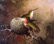 Two Ruby Throats By Their Nest - Martin Johnson Heade