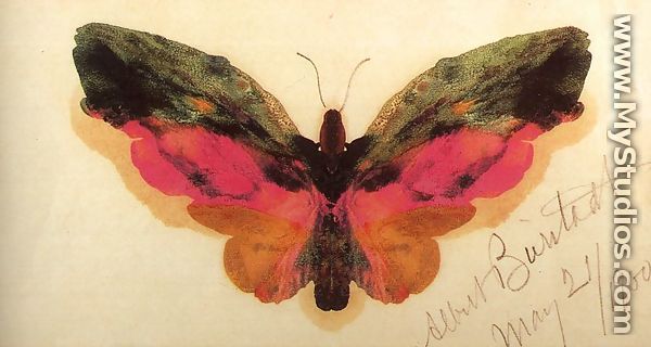 Butterfly 1900 - Albert Bierstadt
