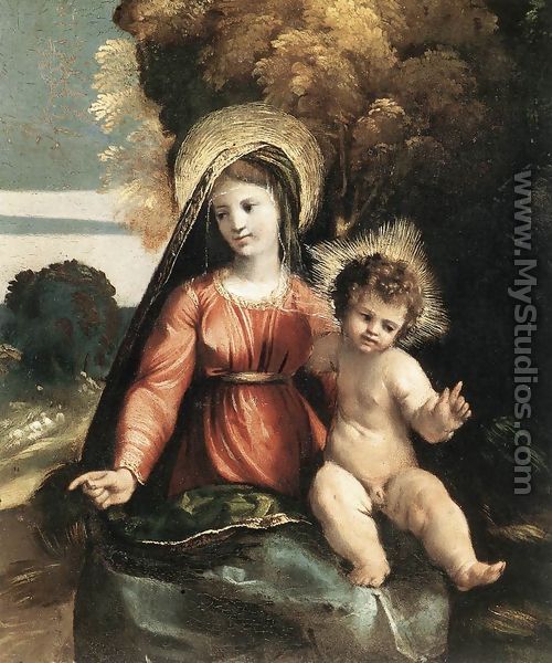 Madonna and Child c. 1525 - Dosso Dossi (Giovanni di Niccolo Luteri)