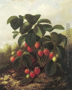 Wild Strawberries - Paul Lacroix