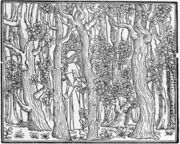 Poliphilus in a Wood 1499 - Aldus Manutius