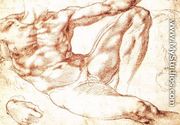 Study for Adam c. 1510 - Michelangelo Buonarroti
