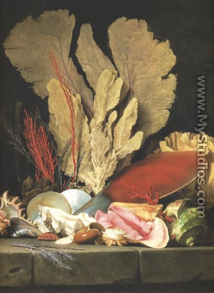 Still-Life with Tuft of Marine Plants, Shells and Corals 1769 - Anne Vallayer-Coster