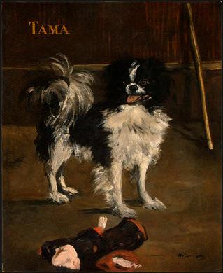 Tama, Japanese Dog