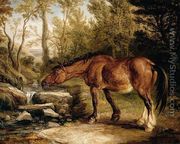 A Horse Drinking at a Stream 1838 - James Ward