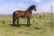 Wild Horses 1889 - Rosa Bonheur