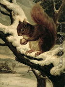 A Red Squirrel Eating a Nut - Basil Bradley