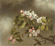 Hummingbird and Apple Blossoms - Martin Johnson Heade