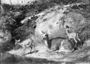 Doe and Two Fawns - Arthur Fitzwilliam Tait