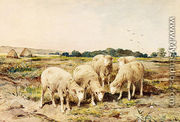 Grazing Sheep - Anton Mauve