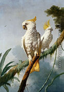 A Pair Of Sulphur-Crested Cocktoos - Jacques Barraband