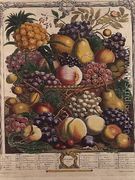 October, from 'Twelve Months of Fruits' - Pieter Casteels