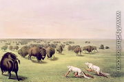 Hunting Buffalo Camouflaged with Wolf Skins, c.1832 - George Catlin