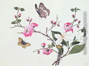 Japonica, Magnolia and Butterflies - Chinese School