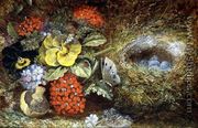 Flowers and Bird's Nest with Butterfly and Mushroom - Oliver Clare